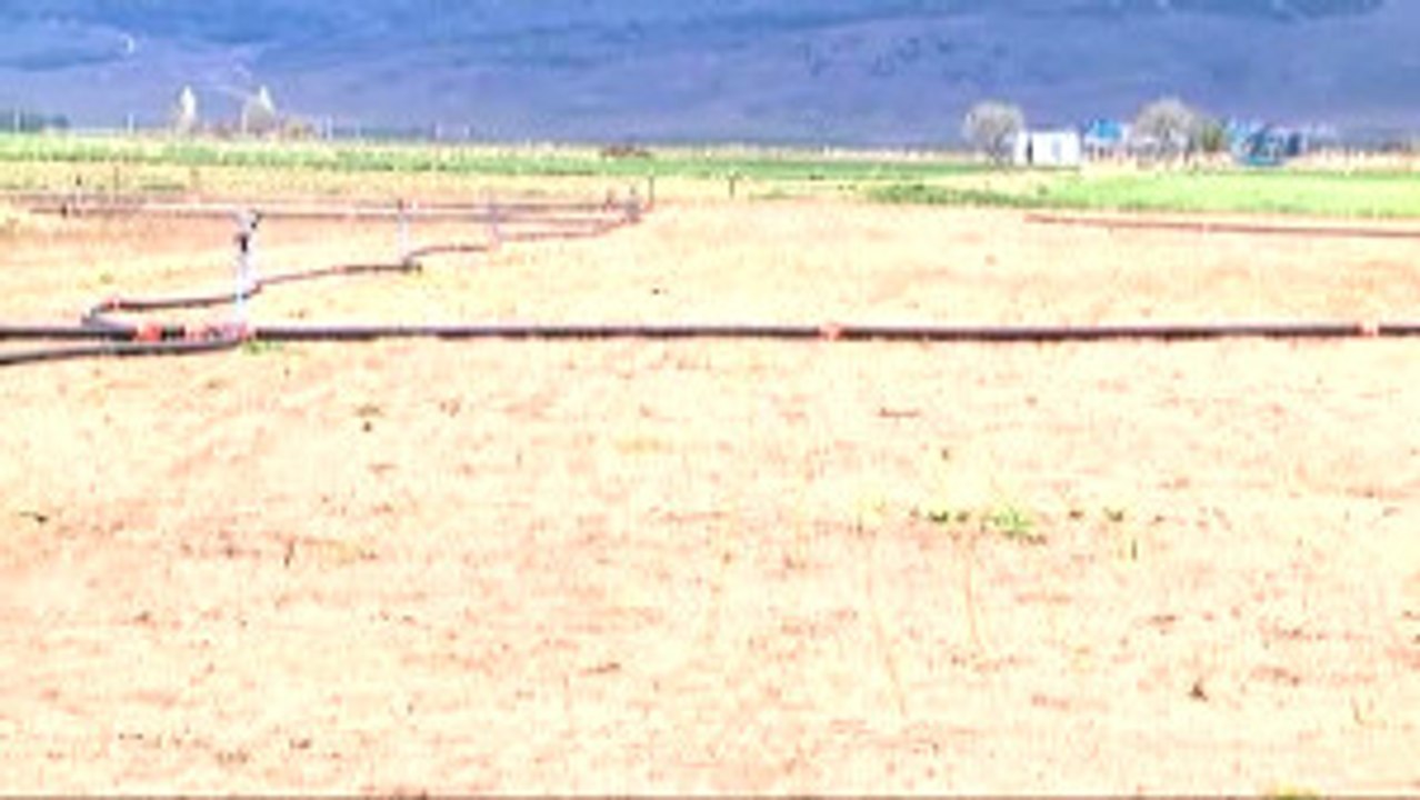 Tepebaşı Ziraat Odası Başkanı Süleyman Buluşan: "Çiftçi Ürününü Bilinçli Yapmalı ve Pazarlamalı"