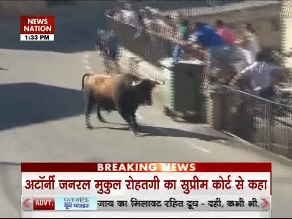Bulls Attack