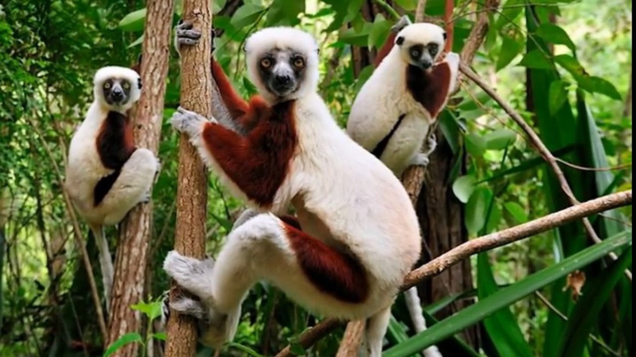 Dünyada Yok Olmadan Önce Görmeniz Gereken 10 Yer