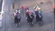 メインの後がメイン？初めての最終？　生活費を稼ぐ大井競馬