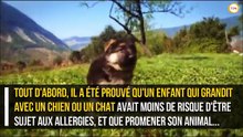 Vivre avec un animal de compagnie serait très bénéfique pour la santé !