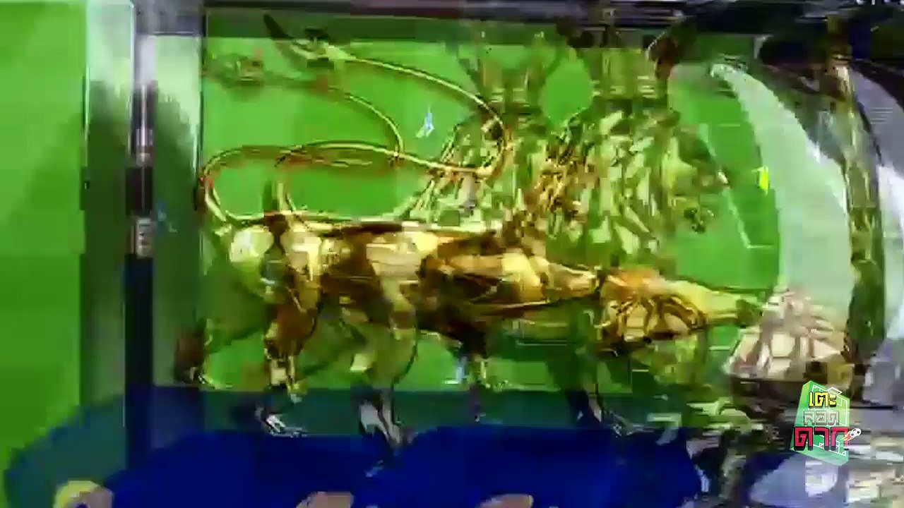 ข่าว มูโวย