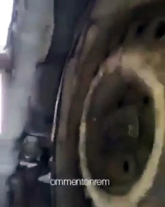 Arabanın Altına Giren Kedi ve Kayserili