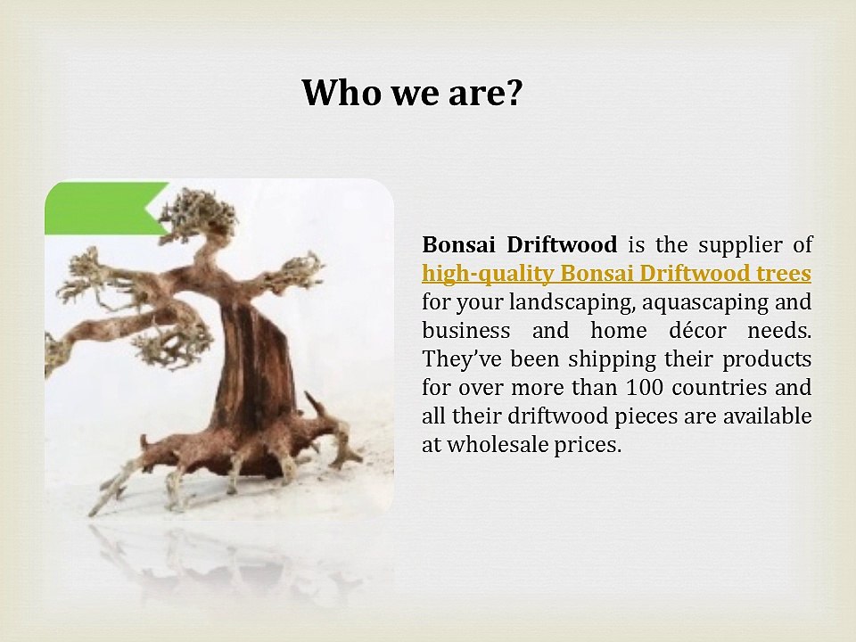 Quintessential Driftwood Pieces Services Provider