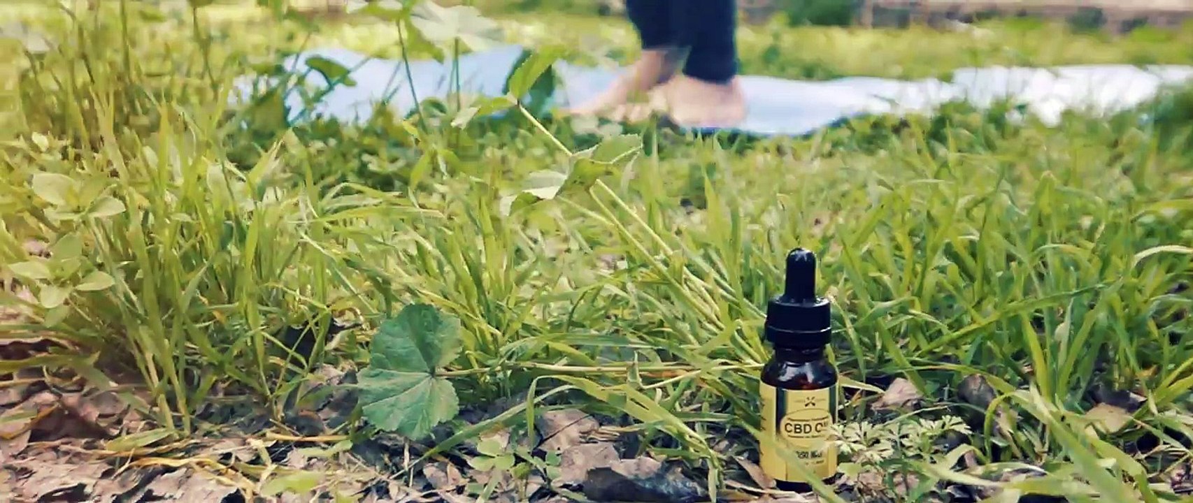 Discover the Power of Hemp