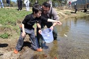 Abant Gölü'ne 51 Bin Balık Salındı