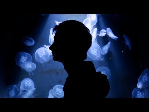 Hyacinthe - Est-ce que ces putes m'aiment ?