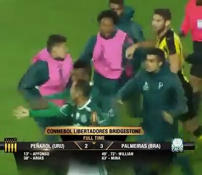 Felipe Melo is back on fighting