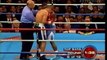 Floyd Mayweather VS Castillo 2 by MMA BOXING MUAY THAI