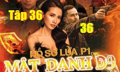 Hồ Sơ Lửa Mật Danh D9 Tập 36
