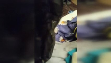 Narkotimden Bonzai Operasyonu Kamerada