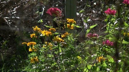 Google and Facebook duped in huge 'scam'