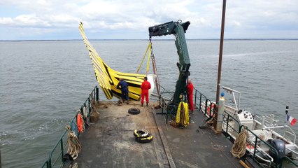 Arcachon : la queue de la baleine mise à l'eau