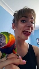 Un perroquet imite les grimaces de sa maîtresse !