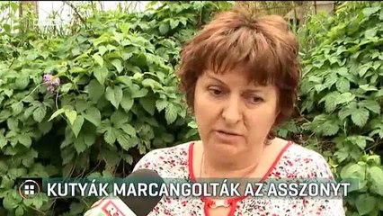 Kutyák marcangolták az asszonyt  RTL Híradó