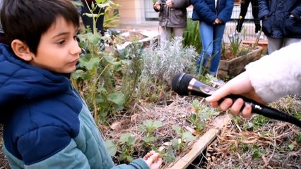 Vidéo concours Valbonne Collège International de Valbonne