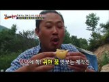 괴짜 도사의 보물, 토종꿀의 환상의 맛! [뉴 코리아 헌터] 17회 20160928