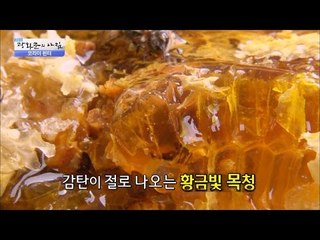 이런 황금 봤어? 맛깔나보이는 목청! [광화문의 아침] 325회 20160928