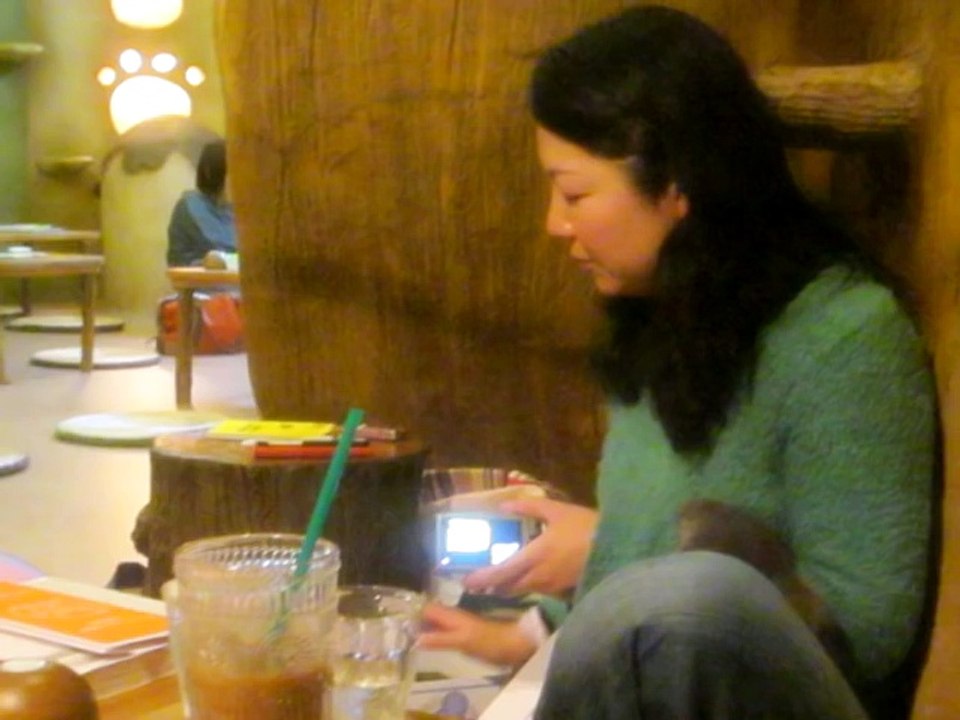 吉祥寺猫祭りで『猫カフェで猫にモテる方法』のセミナー受けたらモテた☆