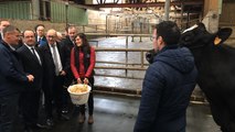 Francois Hollande visite un élevage