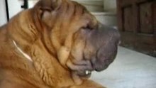 boubi bave...