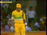 WASIM AKRAM SUPERB FIELDING!!!!!!! 1988 89