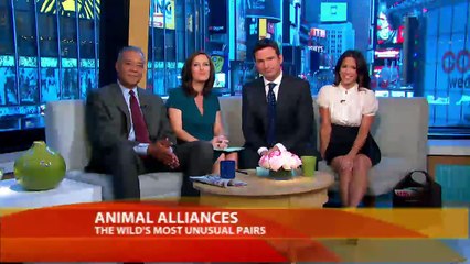 Unlikely Animal Pairs Defy Laws of Nature