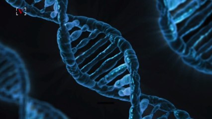 Scientists Can Now Study Ancient DNA Without Bones