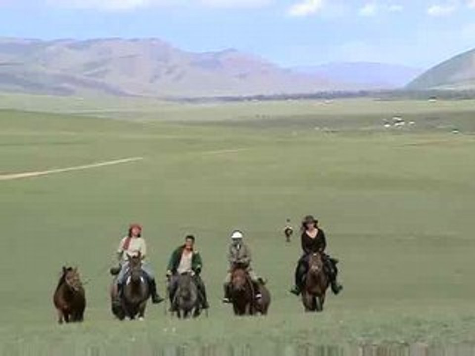 Cheval_Mongolie