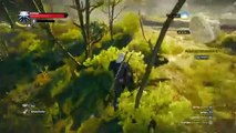 LETS PLAY :THE WITCHER 3 (88)