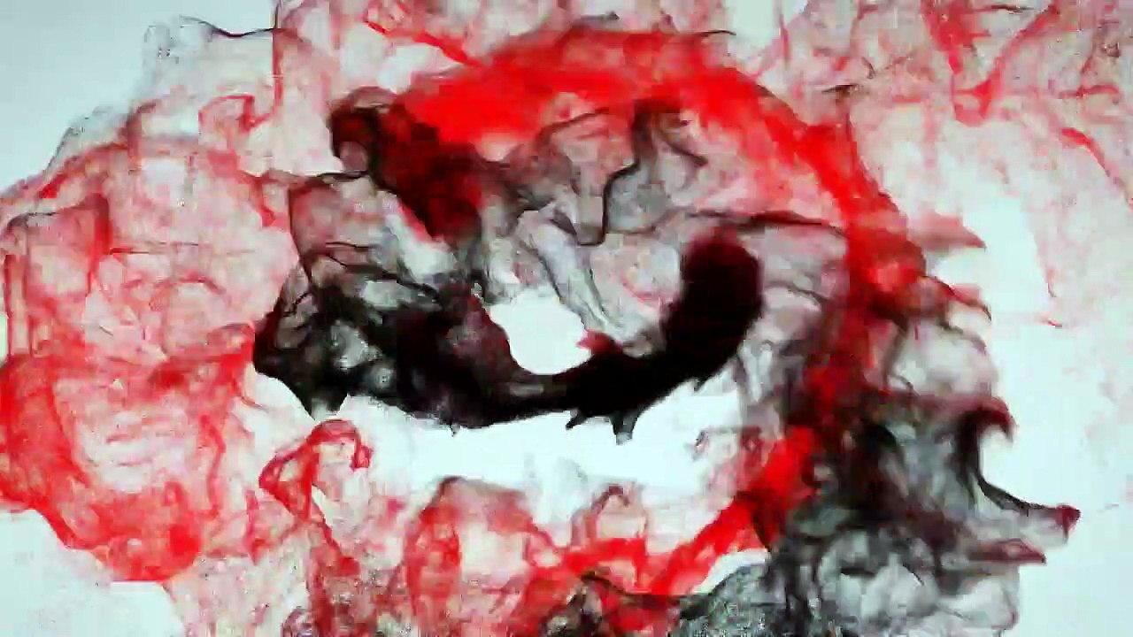 PSEUDOTROPHEUS ACEI YELLOW TAIL AFRICAN CICHLID-A7LCktbop