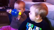 Two funny babies are fighting for feeding | funny babies video | cute babies funny | best babies video