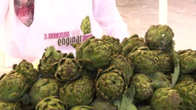 3. Uluslararası Urla Enginar Festivali Başladı