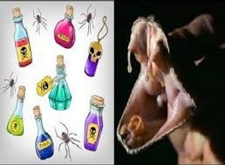 VENENO Y SUS APLICACIONES MEDICINALES : DOCUMENTAL COMPLETO