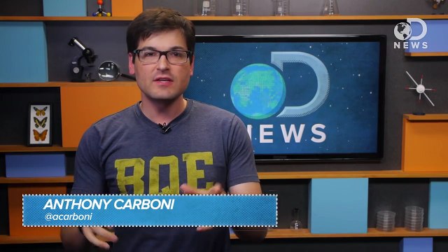 What Happens if the Planets Align??