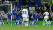 Cardiff City 0 - 2 Newcastle United - All Goals in HD - 28_04_2017