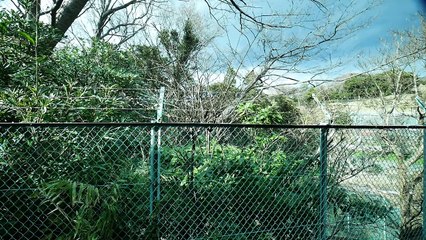 湘南モノレール （5000系） 超広角車窓 進行左側 湘南江の島～大船