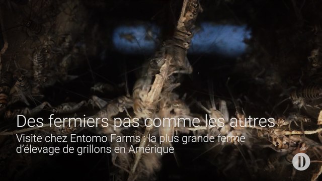 Des fermiers pas comme les autres