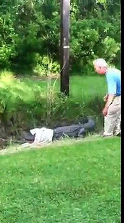 Quando guardi troppi documentari sugli alligatori e cerchi di catturarne uno. Ecco cosa succede!