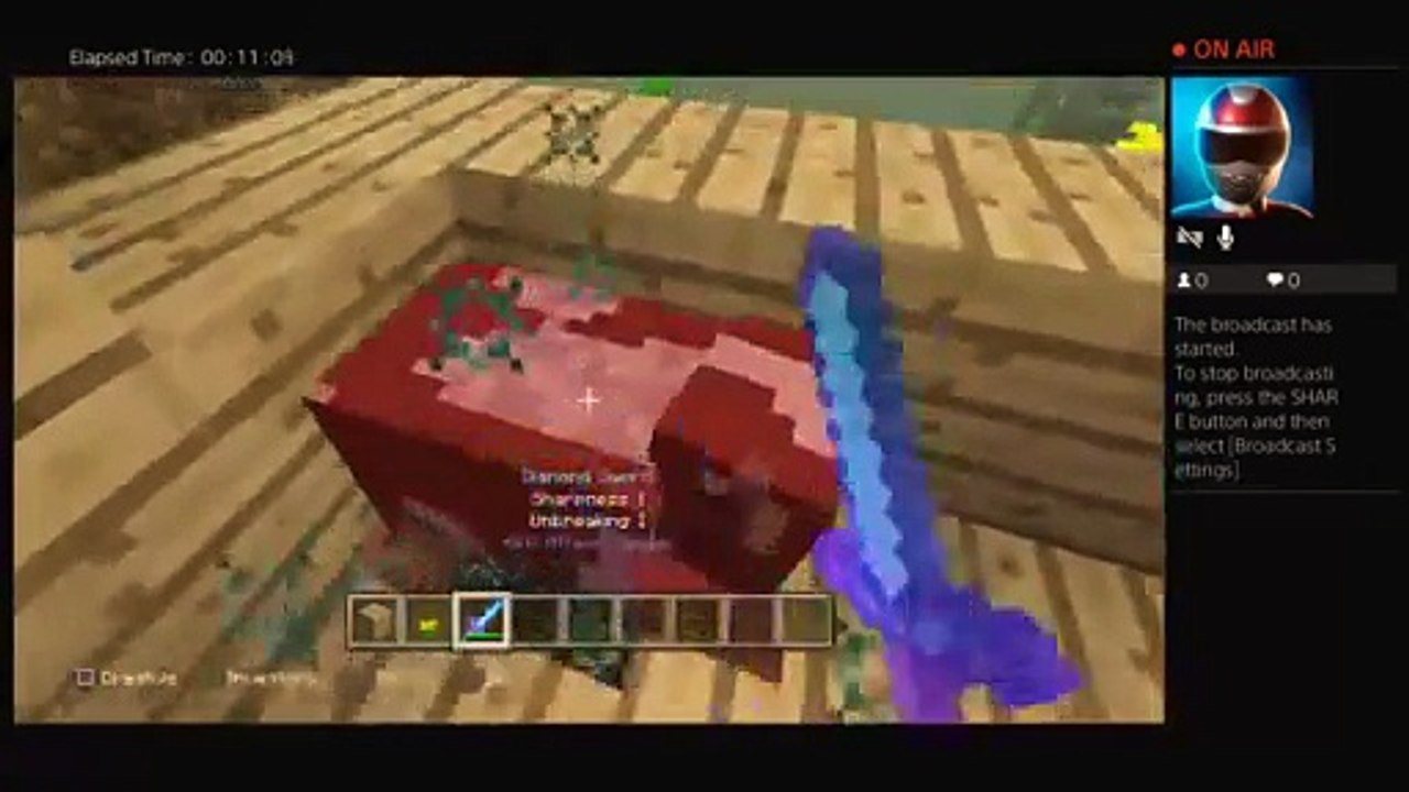 MINECRAFT (26)