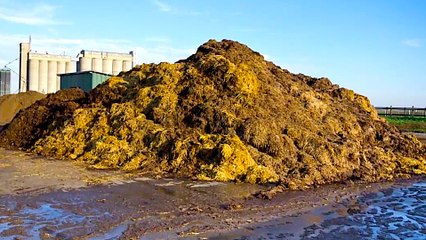 3 Surprising Materials Being Used to Make Clothing