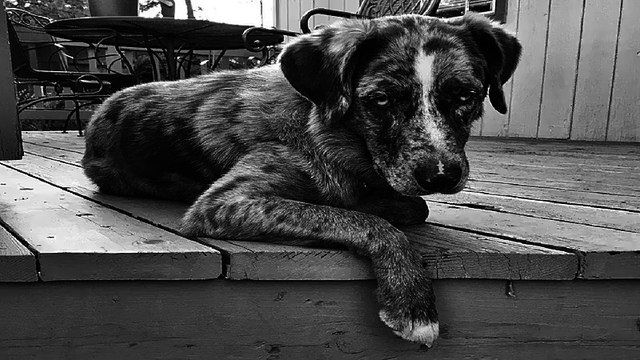 VA 오피쓰 마포오피 마포건마 마포휴게텔 마포키스방 마포마사지