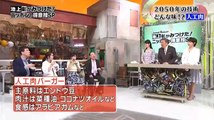 日曜ビッグ「池上彰がみつけた！ニッポンの得意技SP」   2017年04月16日 170416 (12) part 3/3