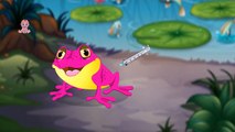 Colors for Children Learn with Colors Injection Frog _ Funny Frog Colors Learning Injection Syringe-98li8H0JfTk
