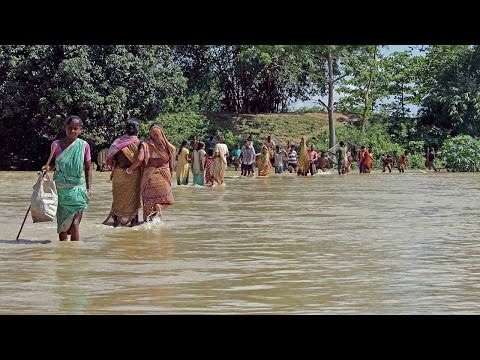 Heavy rains affects life in Tamil Nadu, death toll reaches 48