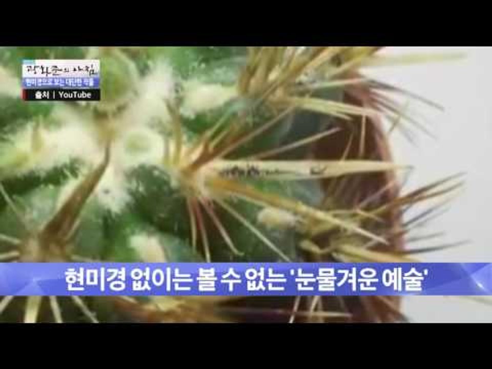 수박씨에 그림을 그리는 예술가! [광화문의 아침] 321회 20160922