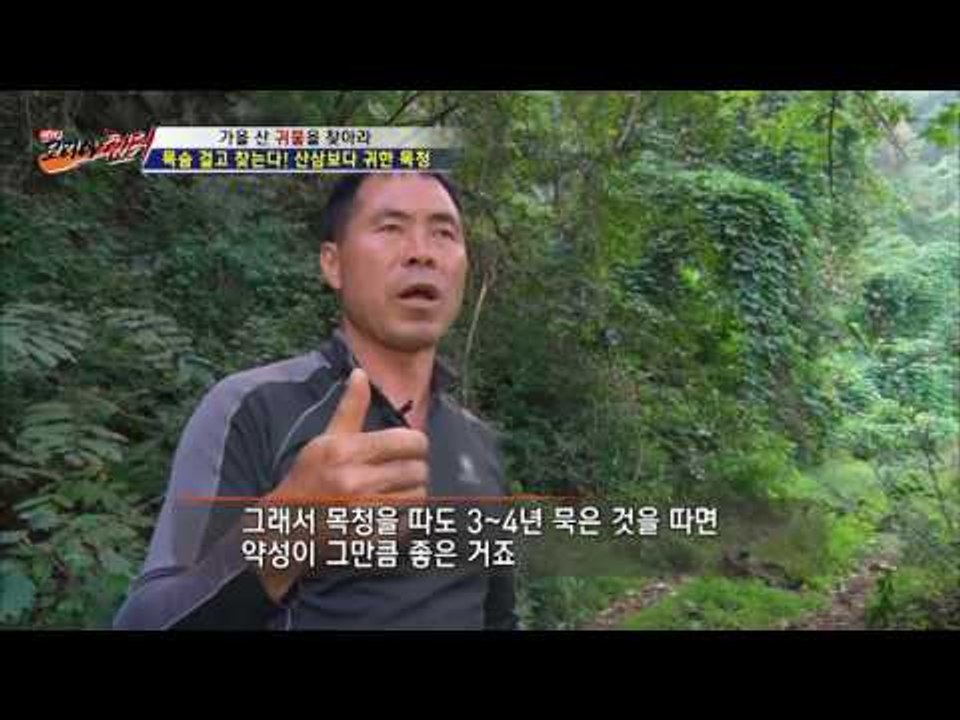산삼보다 귀한 숙성 된 목청!  [뉴 코리아 헌터] 16회 20160921