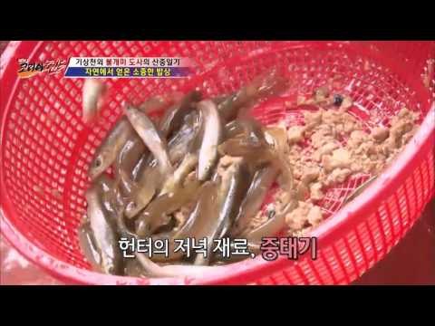 자연 속 먹방! 헌터의 매운탕! [뉴 코리아 헌터] 16회 20160921