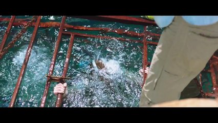 47 Meters Down Trailer
