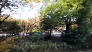 近畿日本鉄道 湯の山線 （1010系運行） 超広角車窓 進行左側 湯の山温泉～四日市